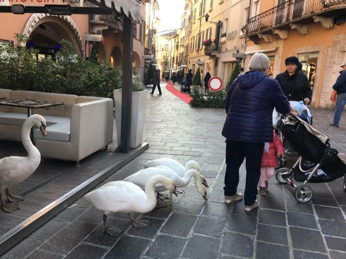 Horto Terapeutico Home Desenzano del Garda Kültér fotó